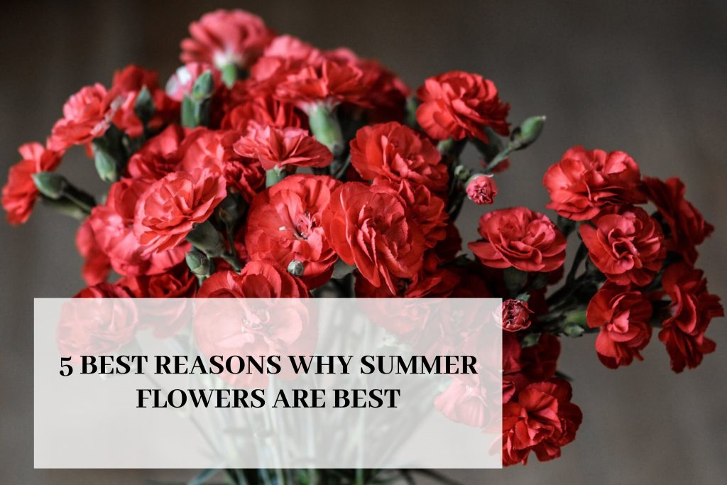 5 Best Reasons Why Summer Flowers are Best