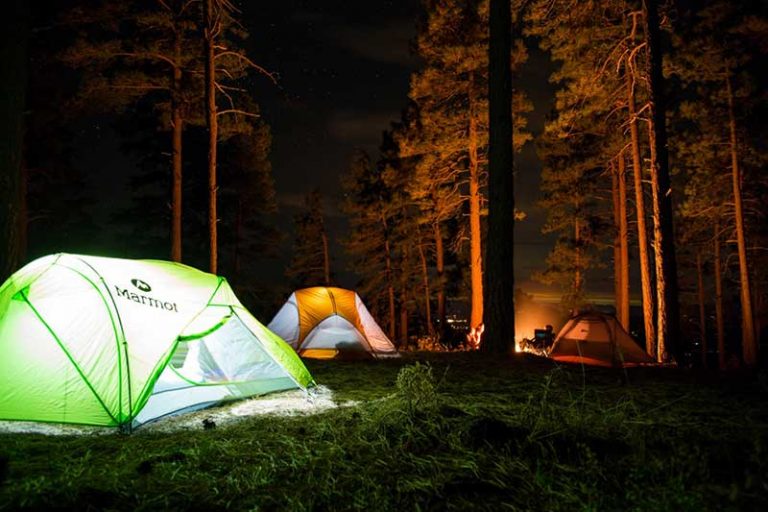 Camping Guide for Beginners in 2020