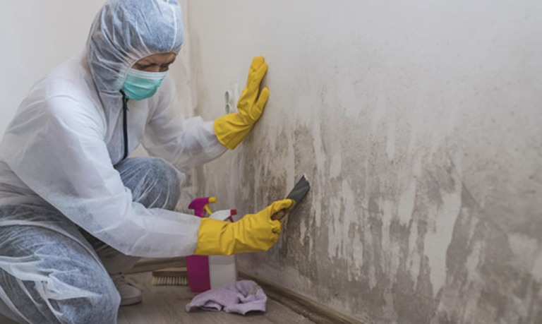 Top benefits of air quality testing for mold remediation