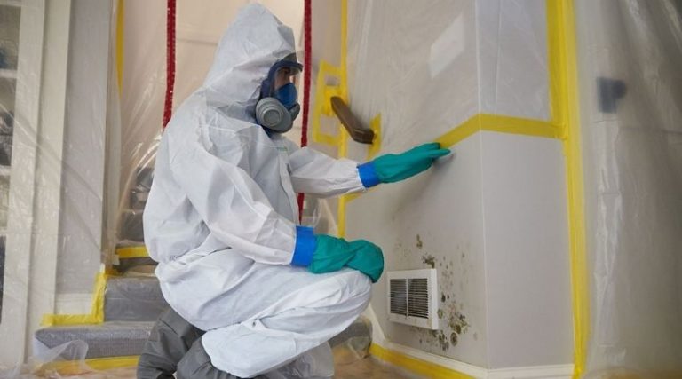 Top Three Mistakes To Avoid While Hiring A Mold Removal Company