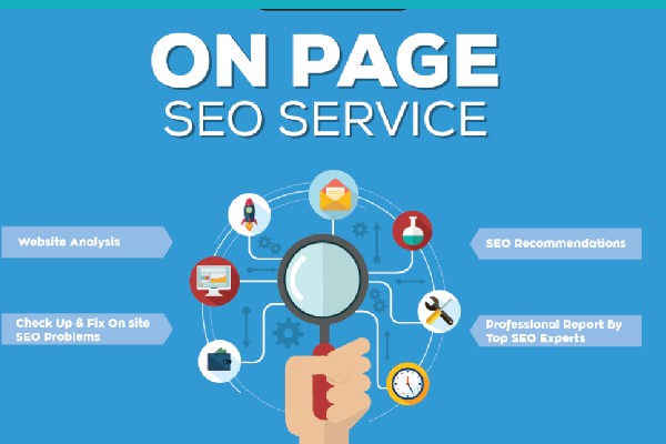 Thorough understanding of on-page SEO services