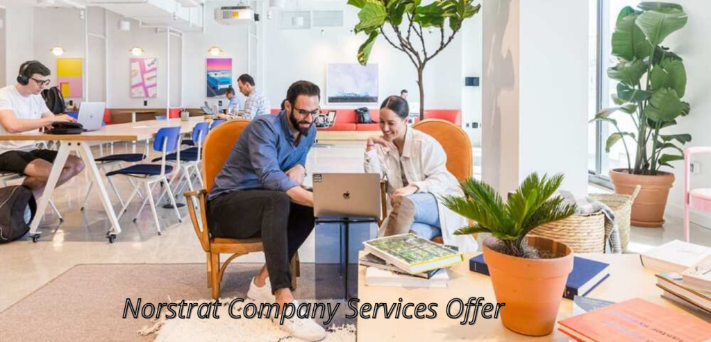 What Kind of Service Does Norstrat Company Offer You?
