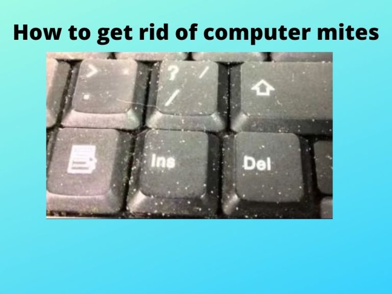 Computer mites: How to get rid of computer mites