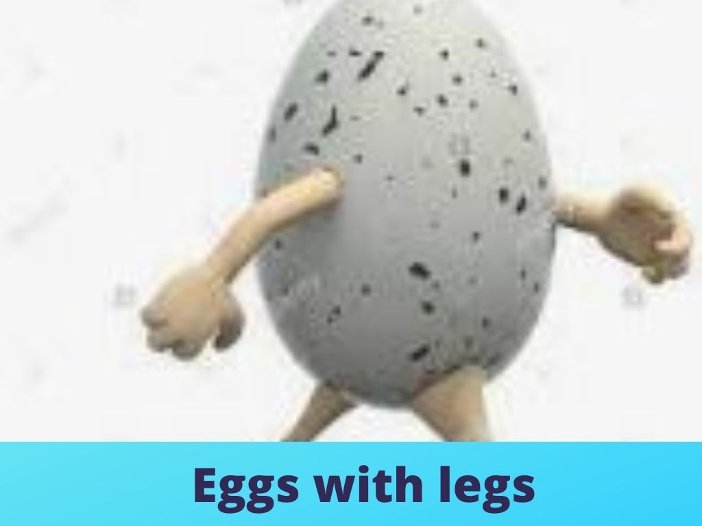 eggs with legs