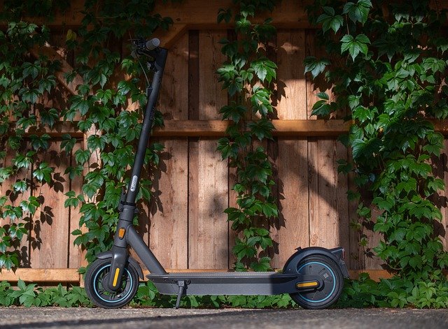 Top Three Questions To Ask Before Hiring Landscape Maintenance Services