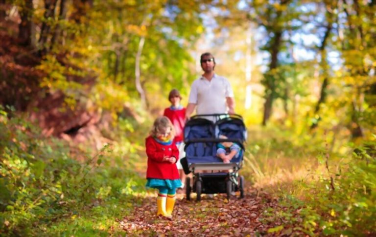 How to Choose the best special needs stroller?