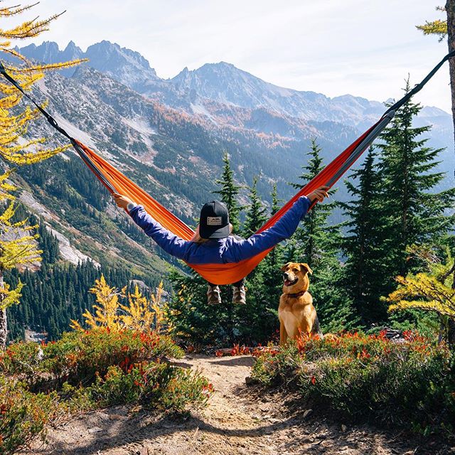 Best Places to Travel with Dog