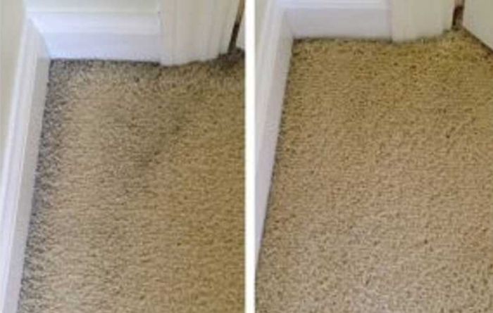How to select the best professional carpet cleaning company?
