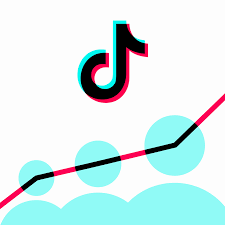 In TikTok, Here Are A Few Tips For Growing Your Followers