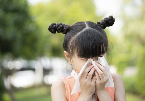 How Holistic Remedies For Your Allergies Is A Better Approach
