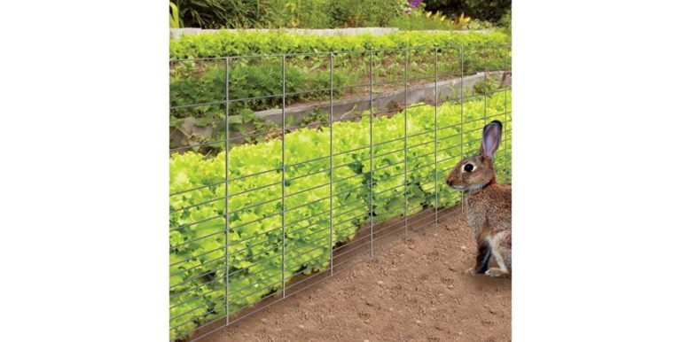 There are many types of fences that can be used on a farm.