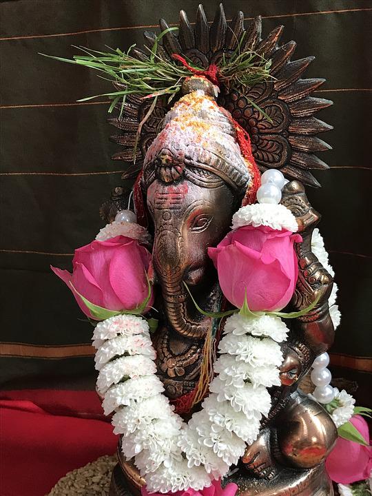 Know about holy flowers to offer Lord Ganesha on the occasion of Ganesh Chaturthi…