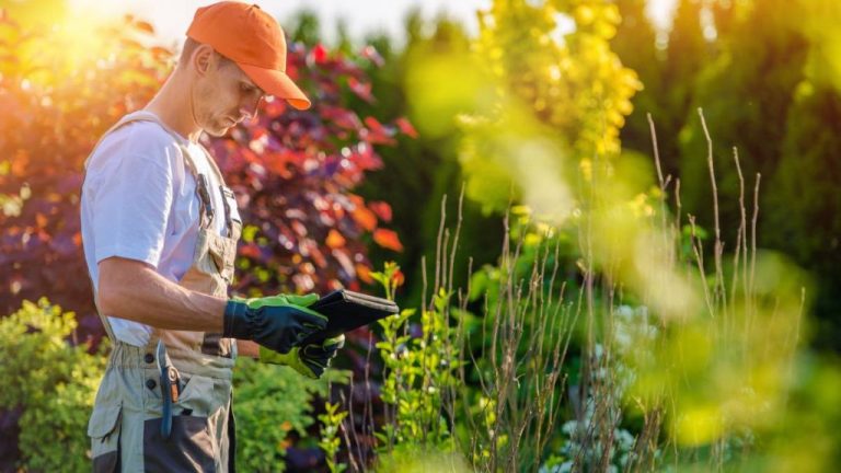 Tips to Keep Your Gardens Clean and Tidy at All Times