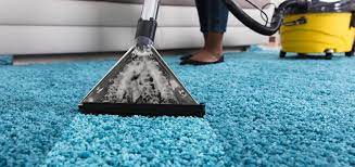 Reasons to hire professional carpet cleaners.