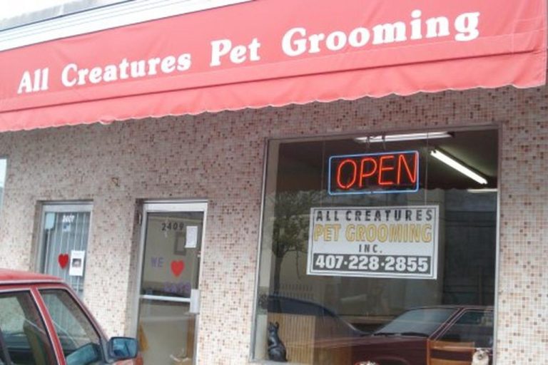 Top 5 Dog Grooming Stores in the USA