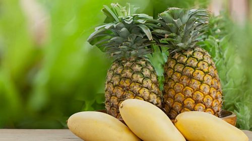 Pineapple: Exploring the Sweet and Tangy Fruit for Dogs
